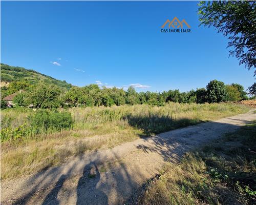 Casa veche cu teren de 59 ari, intravilan, Ilba  ( 20 km de Baia  Mare)